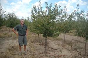 Malus Sutyzam